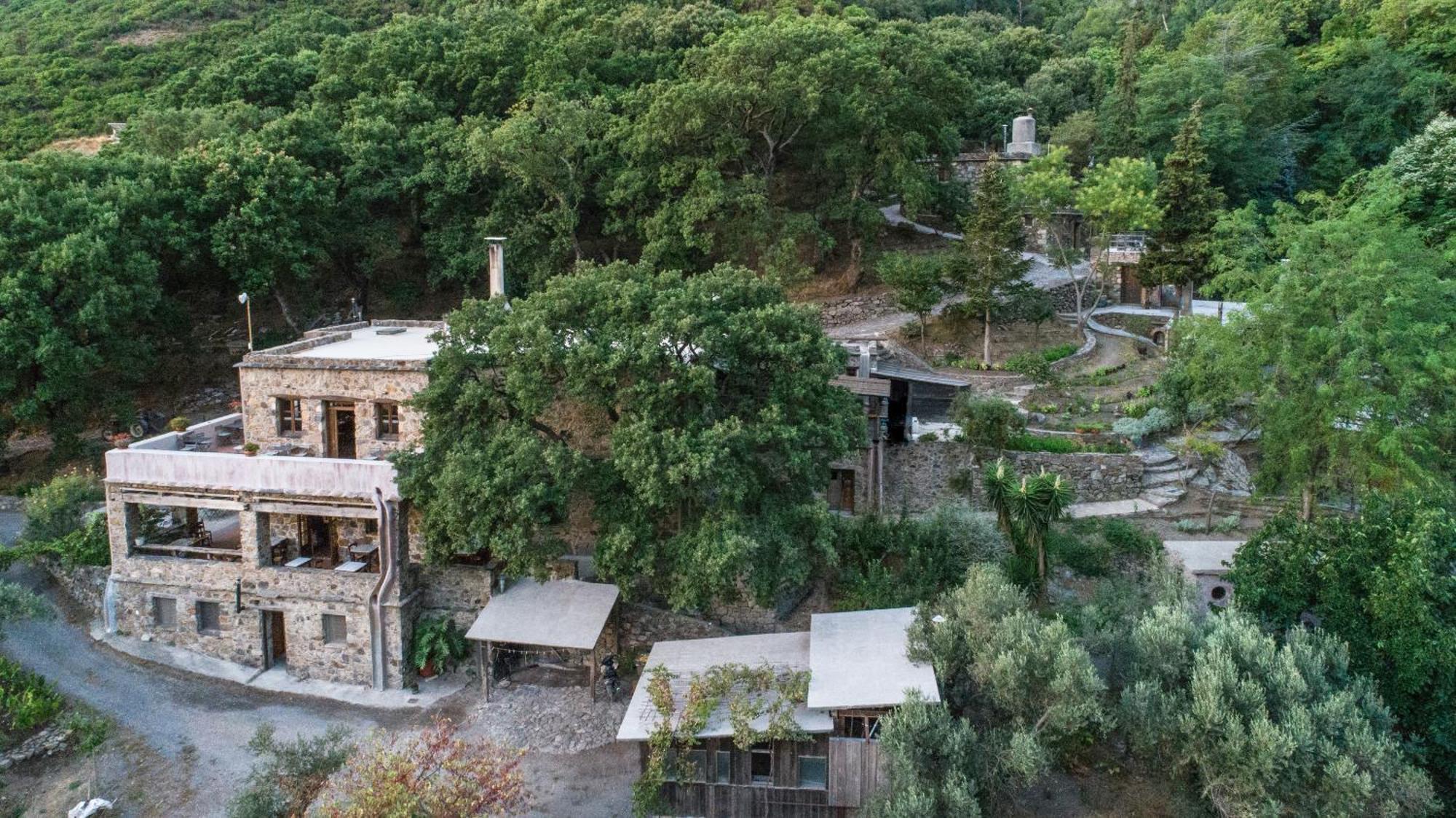 Μilia Mountain Retreat Hotel Vlatos Exterior photo