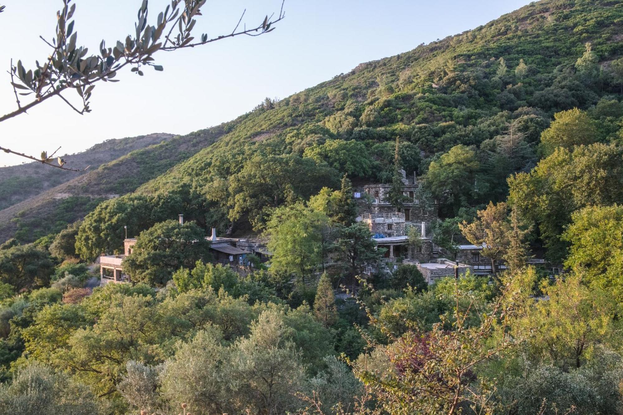 Μilia Mountain Retreat Hotel Vlatos Exterior photo